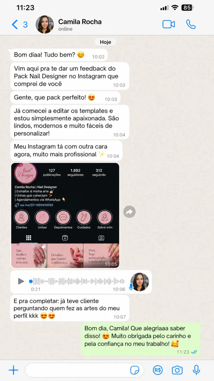 Conversa em que Camila conta que os templates deixaram seu Instagram mais profissional